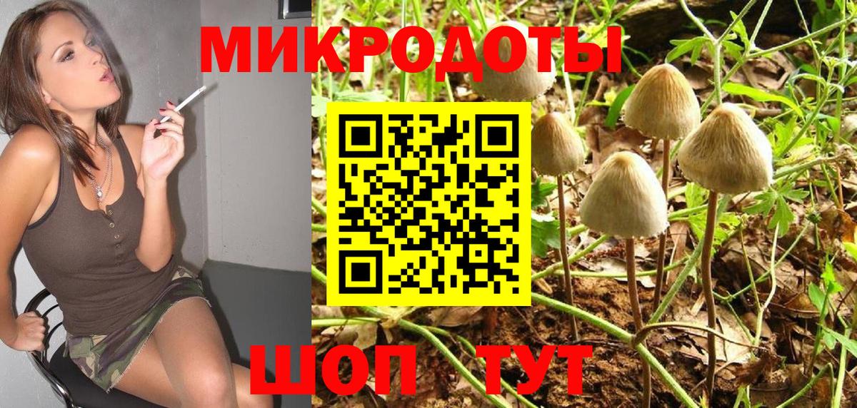 наркотики  Псилоцибиновые грибы Psilocybe  Вход с VPN  Псилоцибиновые грибы Cubensis  Краснознаменск 