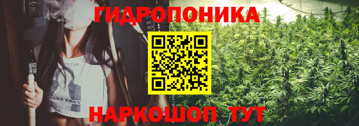 Шишки марихуана гибрид Краснознаменск